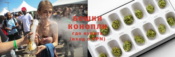винт Богданович