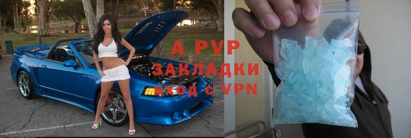 винт Богданович