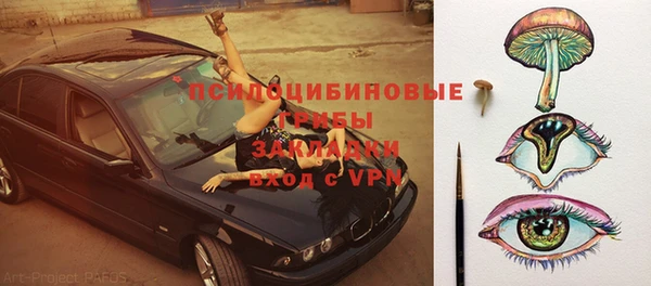винт Богданович