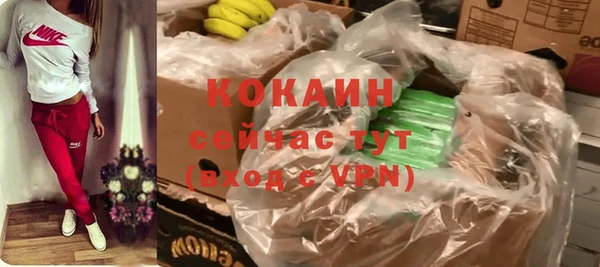 винт Богданович