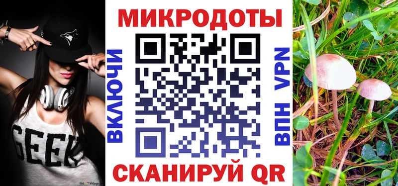 Псилоцибиновые грибы мицелий  где продают   Красавино 